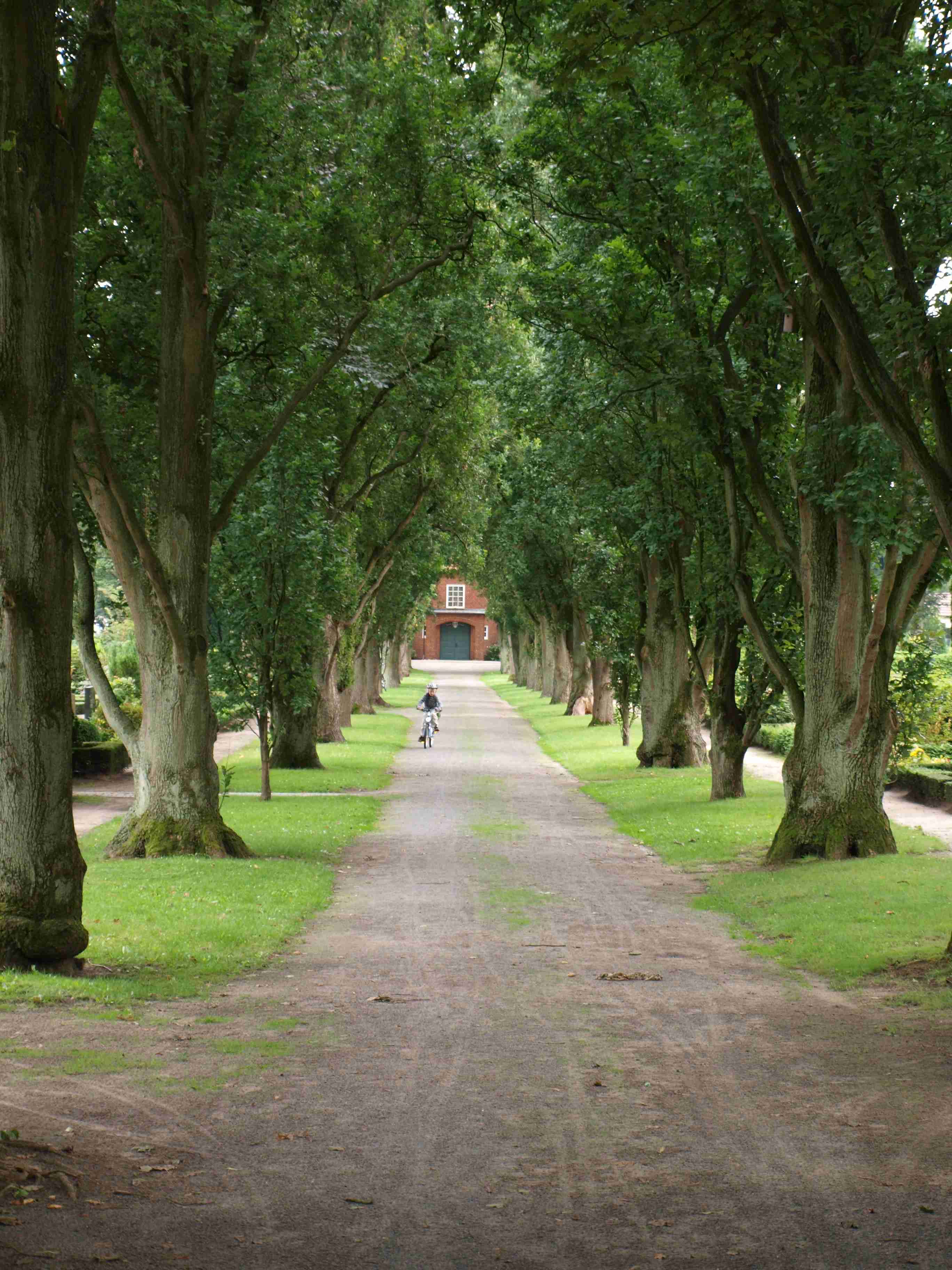 2008__21_
