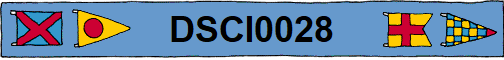 DSCI0028