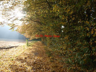 2013-10-26 (16)
