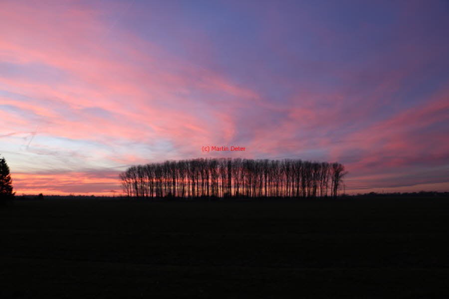 2019 (1395)
