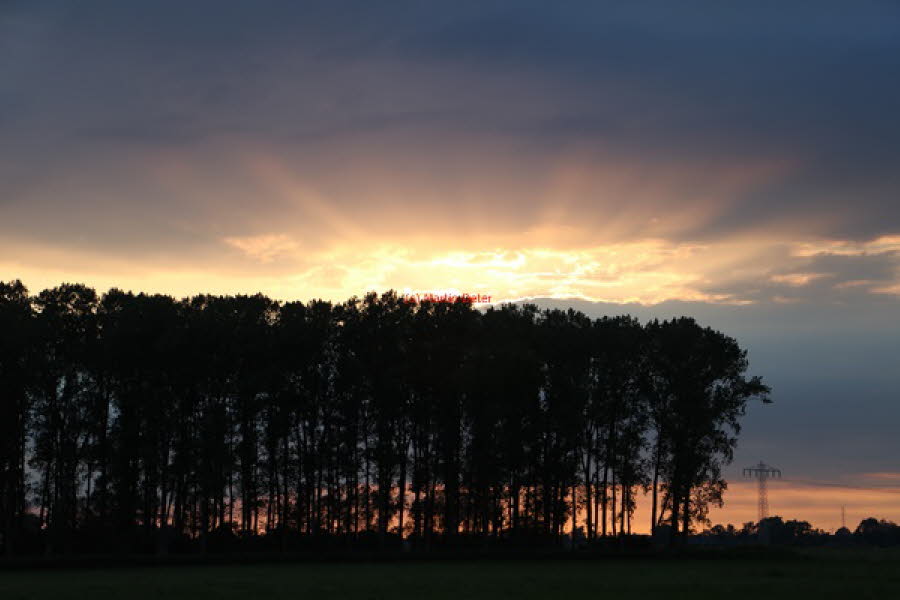2019 (1801)