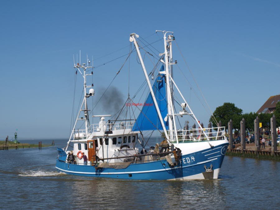 2019 (2199)