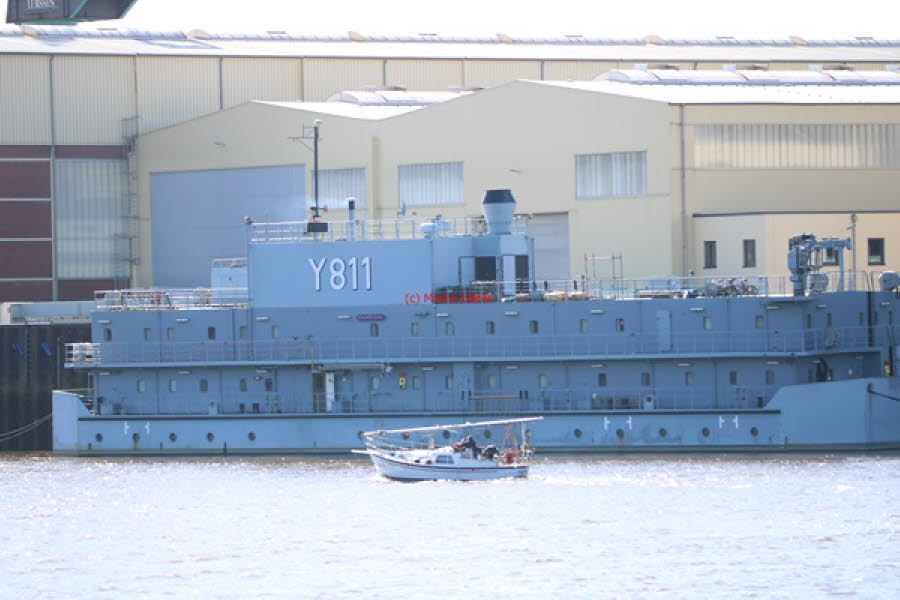 2021 (1181)