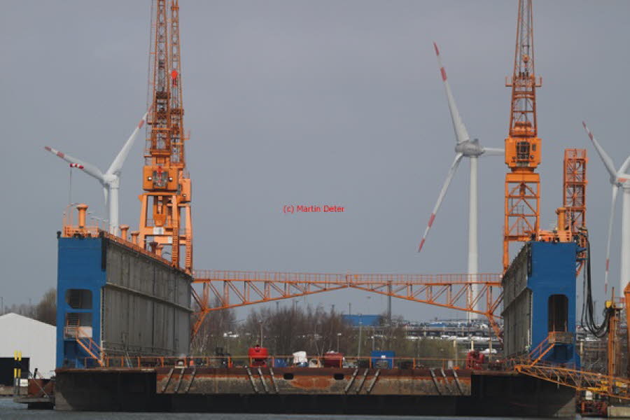 2021 (1210)