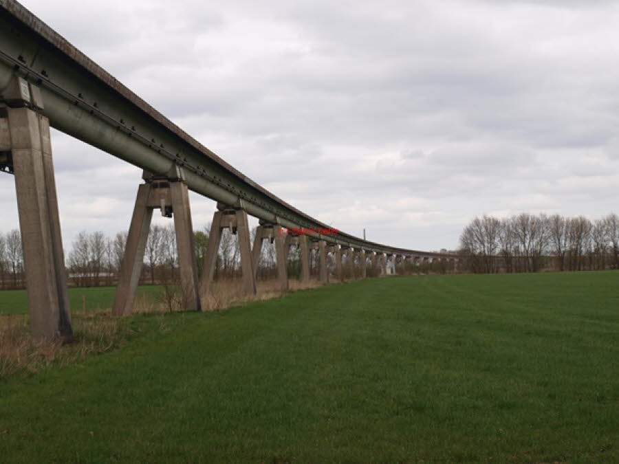 2021 (1233)
