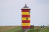 2021 (1557)