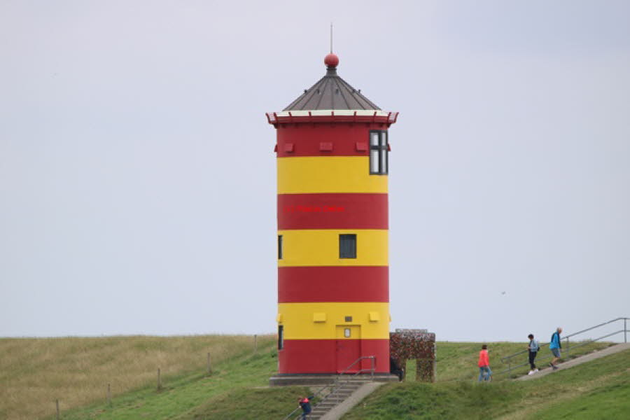 2021 (1557)