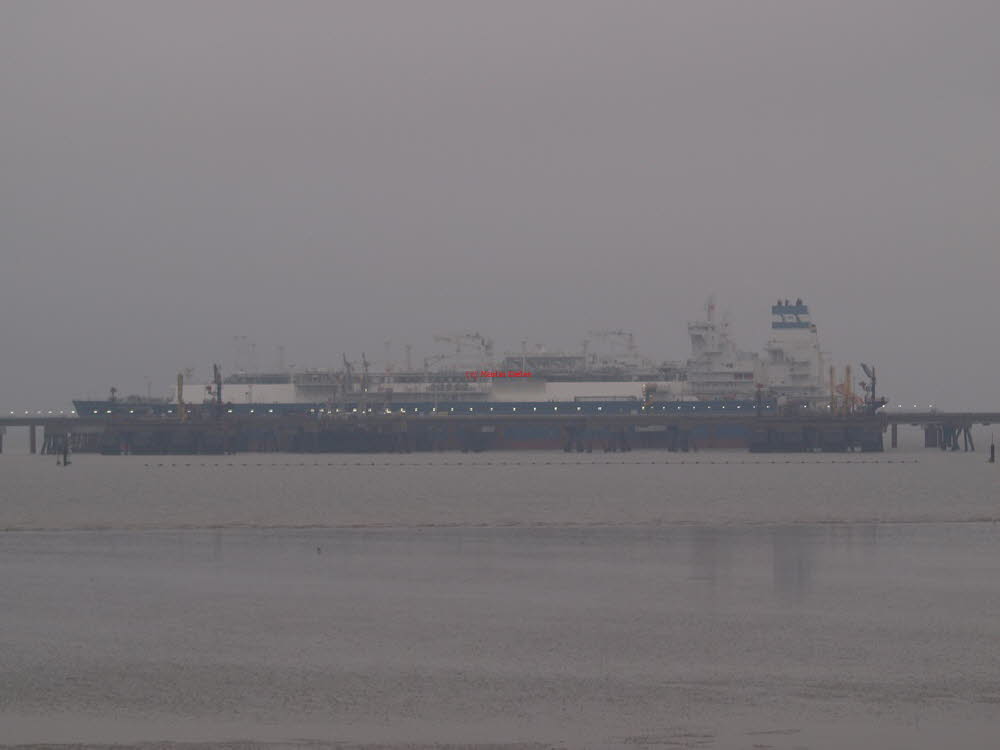 2023 (1028)