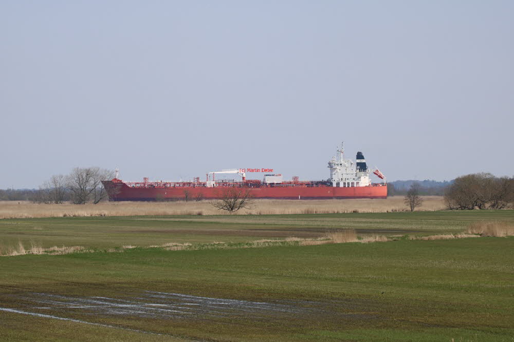2023 (1488)