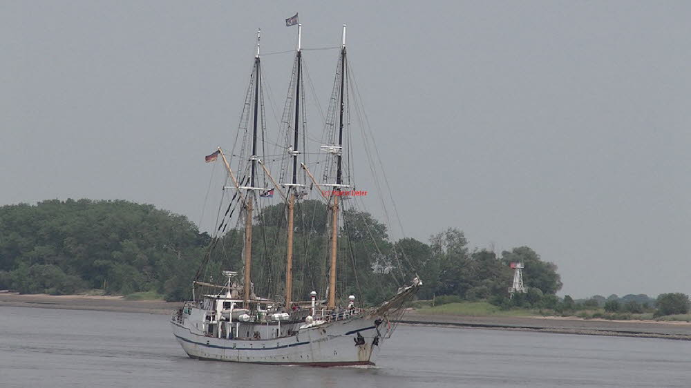 2023 (2618)