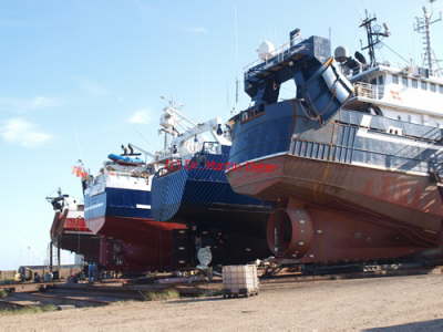 Dk2013 (677)