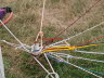 Segeln 2014 (285)